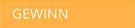 ASML Holding: +17,1% p.a. Gewinn
